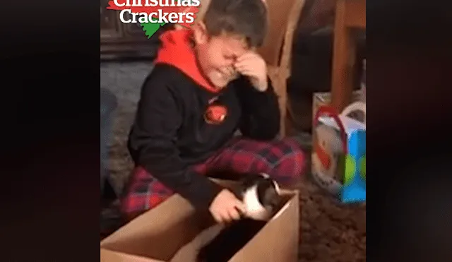 Desliza hacia la izquierda para ver la reacción que tuvo un niño al encontrar un perro dentro de una caja de regalo. El video es viral en Facebook.