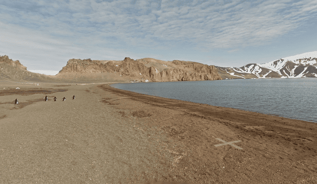 Google Maps viral: usuario capta una emocionante escena mientras 'recorría' la Antártida [FOTOS]