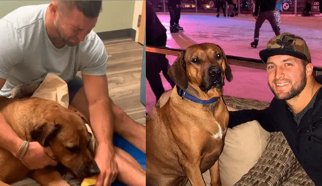 Facebook viral: famoso beisbolista se despide de su amado perro con emotiva publicación que entristece a miles