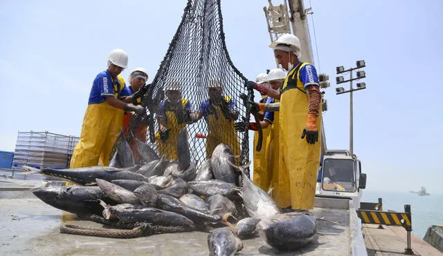 Consumo de conservas de atún podría triplicarse