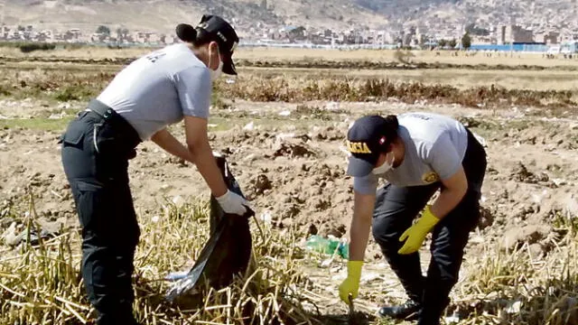 Juntas y policía de Puno realizan limpieza de riberas del lago Titicaca
