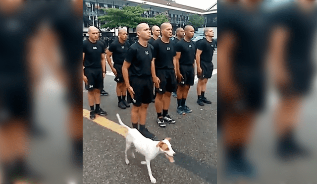 Facebook viral: cadetes debían permanecer inmóviles, pero travieso perro pone a prueba su concentración