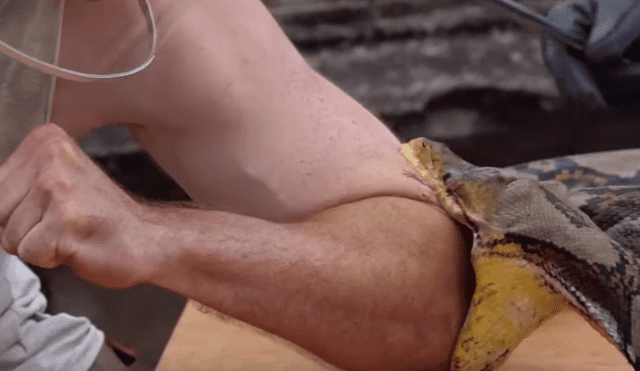El protagonista del video viral de YouTube dejó que una serpiente pitón abra sus mandíbulas para morder su brazo.