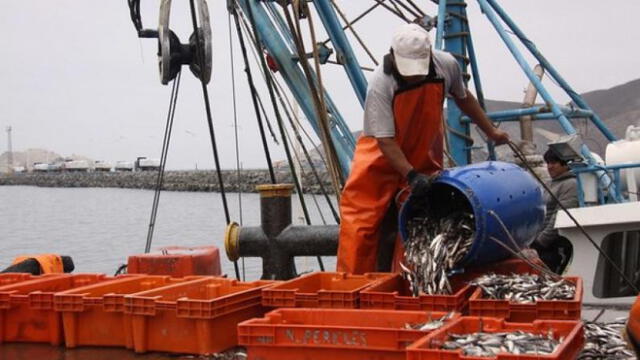 Anchoveta: establecen en 2.1 millones de toneladas la segunda temporada de pesca 