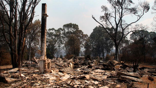 Incendio Amazonas: últimos incendios más trágicos en el mundo como el de Notre Dame