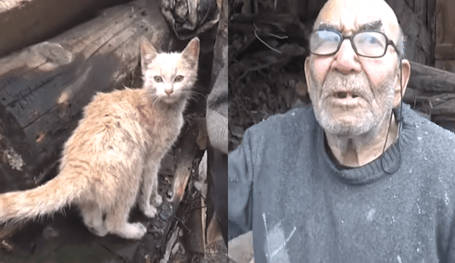 YouTube: Anciano se aferró a su gato tras perder su casa en incendio [VIDEO]
