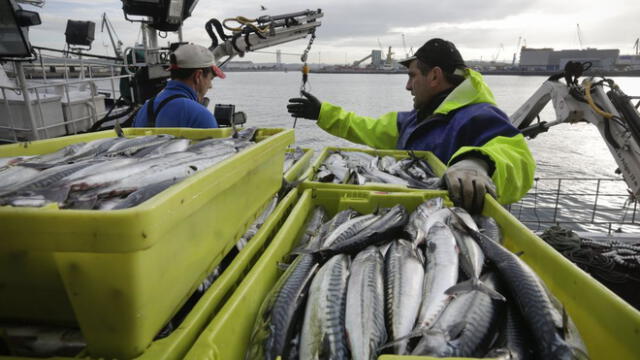 Produce pre publica nueva tasa por derechos de pesca ¿A cuánto asciende?
