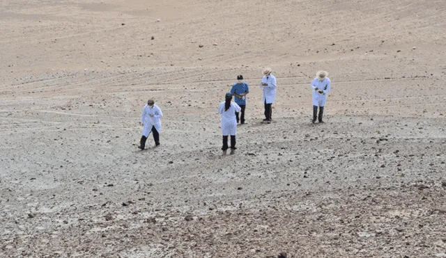 La NASA estudia el desierto de La Joya por sus características similares a las de Marte