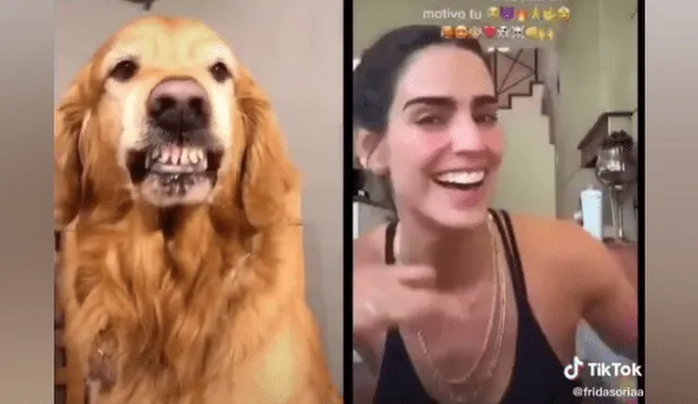 Desliza las imágenes para ver la graciosa escena que protagonizó un perro en TikTok.