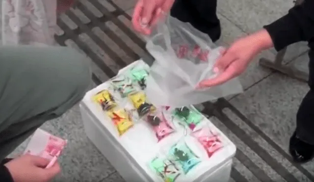 Facebook: Indignación tras ver que en China se venden llaveros de animales vivos [VIDEO]