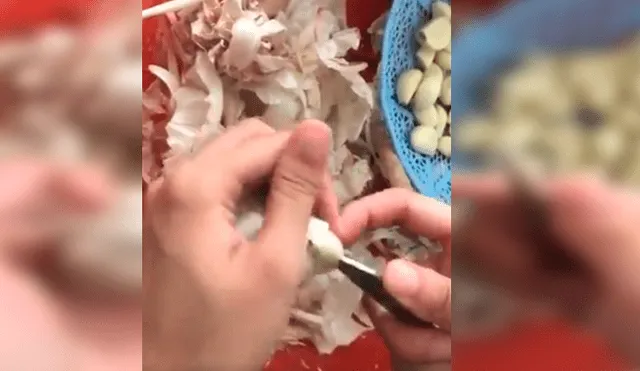 Facebook viral: joven enseña truco para pelar ajos en segundos y asombra a miles [VIDEO]