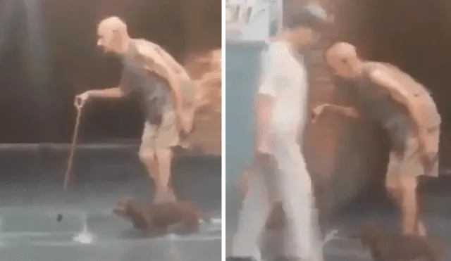 Vía Facebook. Niños captaron al anciano caminando junto a su perro por una calle y las emotivas imágenes han conmovido a cientos de internautas