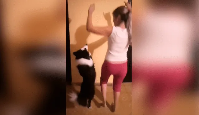 Desliza las imágenes para apreciar los divertidos pasos que realizó un perro con su dueña para cumplir un reto.