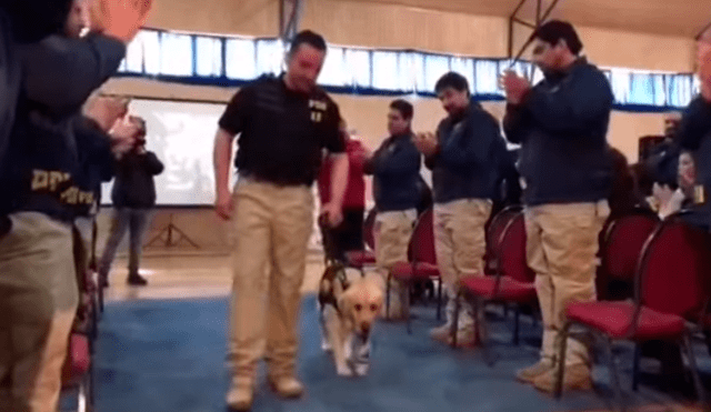 En YouTube, un grupo de policías realizó una conmovedora despedida a un perro que trabajo durante seis años.