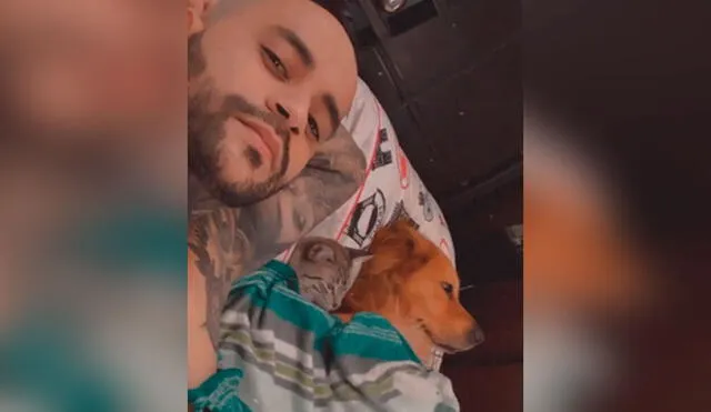 Desliza las imágenes hacia la izquierda para observar el amoroso momento de un joven junto a su gato y perro. Fotocaptura: TikTok.