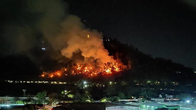 Chile evacúa animales de Zoológico Metropolitano debido a incendio forestal en los alrededores [VIDEO]