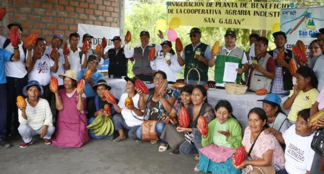 Puno: Devida y San Gabán se unen para promoción del cultivo de cacao