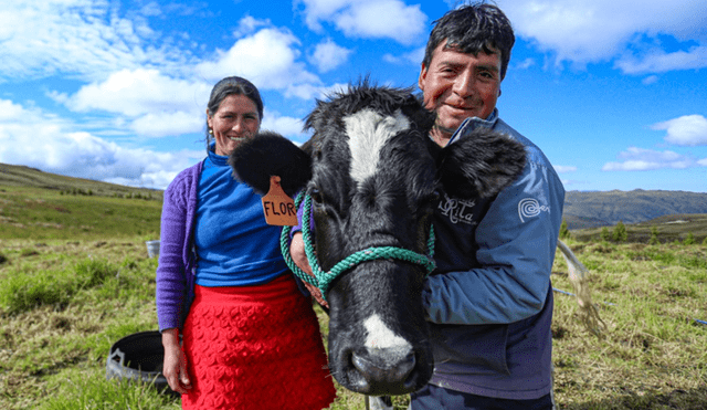 Las personas que se dedican a la ganadería se verán beneficiadas con los créditos. Foto: MINAGRI.