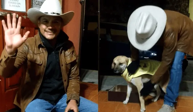 Facebook: Pone abrigos a perros callejeros por el frío y miles lo felicitan [VIDEO]