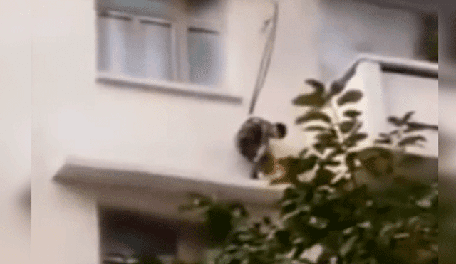 Niño en el balcón rescatando al gato.
