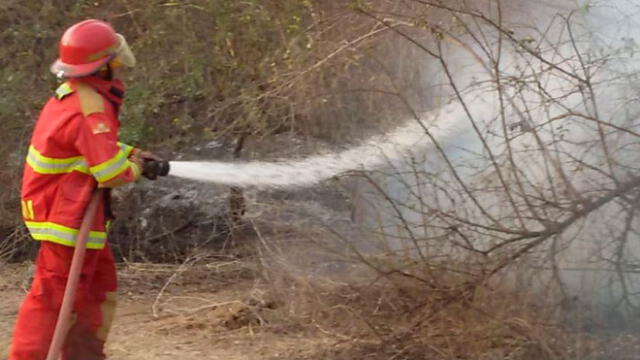 Lambayeque: incendio forestal arrasa con 30 hectáreas 