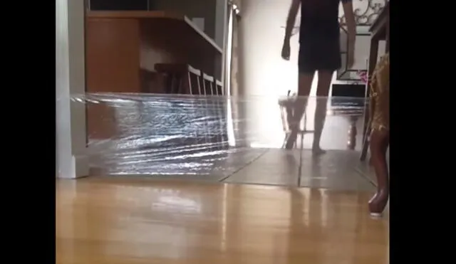 YouTube: mujer le jugó una broma pesada a su gato y recibió una dura lección [VIDEO]