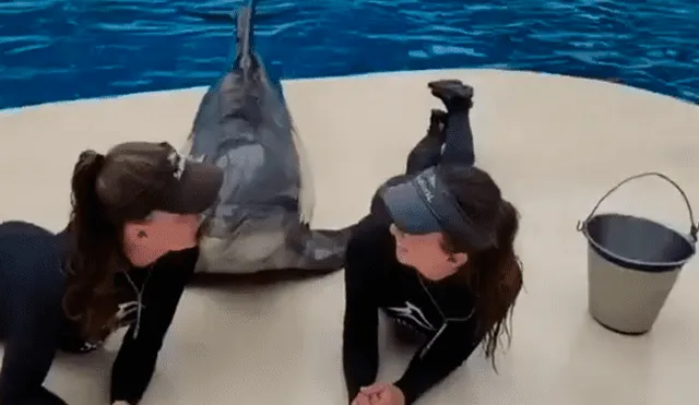 Facebook viral: delfín sorprendió a sus cuidadoras con varios besos en las mejillas [VIDEO] 