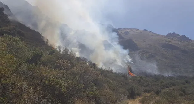 Incendio forestal arrasó unas 60 hectáreas de pastizales en Marangani en Canchis.