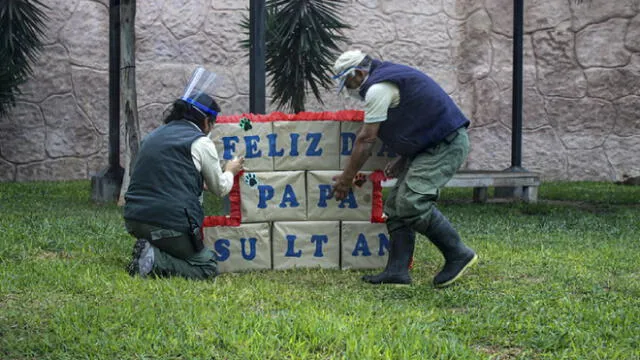 Personal construye un letrero para Sultán, el león. Foto: Parque de las Leyendas.