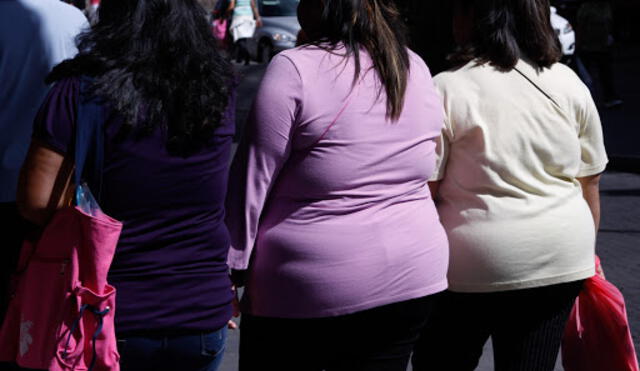 En Ciudad de México, el 73% de ciudadanos sufre de obesidad. (Foto: )