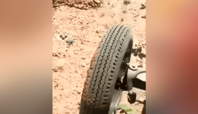 Un hombre publicó un video viral de Facebook el instante en que una madre ave detiene a un gigantesco tractor con su aleteo y evita un trágico final.