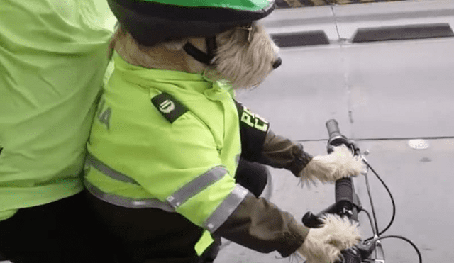 Facebook: Perro maneja bicicleta vestido de policía y es viral en Internet [VIDEO]