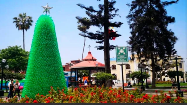Usan 12 mil botellas y 24 mil tapas de plástico para elaborar árboles y adornos navideños [VIDEO]