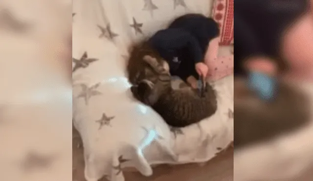 Video es viral en Facebook. El felino no soportó que su pequeña dueña lo ignore por revisar su celular y buscó llamar su atención con gracioso comportamiento