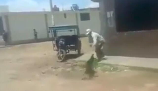 Facebook: hombre que propina brutal golpiza a perro indigna a Lambayeque | VIDEO