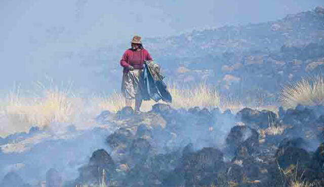 Incendio forestal arrasa con más de 20 hectáreas de pastizales y tres cabañas