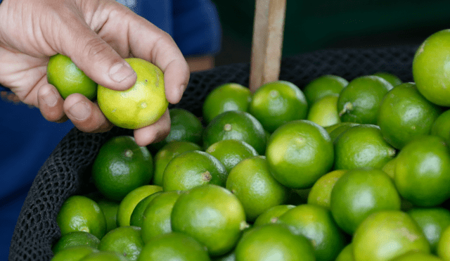 Precios de alimentos en el Mercado Mayorista de Lima para hoy 25 de febrero