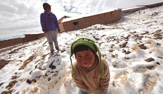Investigadores peruanos utilizan la ciencia para combatir el friaje 