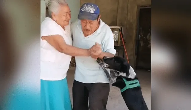 Desliza hacia la izquierda para ver las imágenes del video viral. Foto: captura de TikTok.