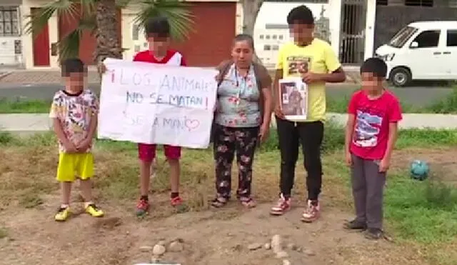 Vecinos afectados enterraron a sus mascotas en el parque donde solían jugar. Foto: captura/América TV