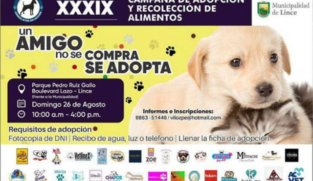 Lince: campaña de adopción y recolección de alimentos para mascotas