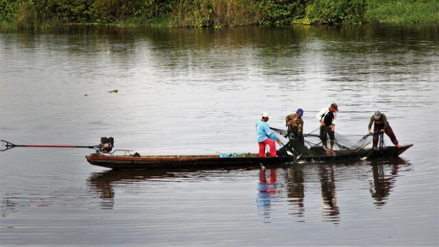 Pesca en Iquitos. Foto tomada de Internet SPDA Actualidad Ambiental.