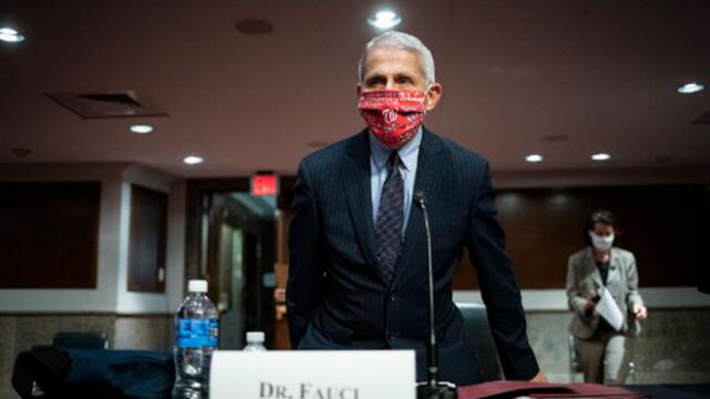 Anthony Fauci, asesor médico de la Casa Blanca. Foto: AFP.