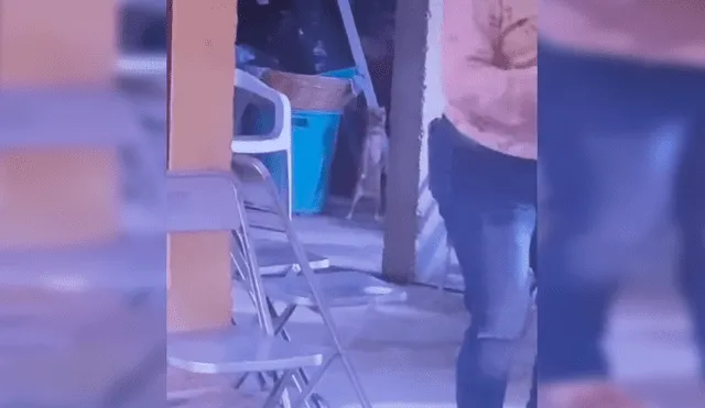 Desde el rincón de una casa el can observaba a los invitados, cuando fue sorprendido en una peculiar escena que ha desatado miles de carcajadas en YouTube