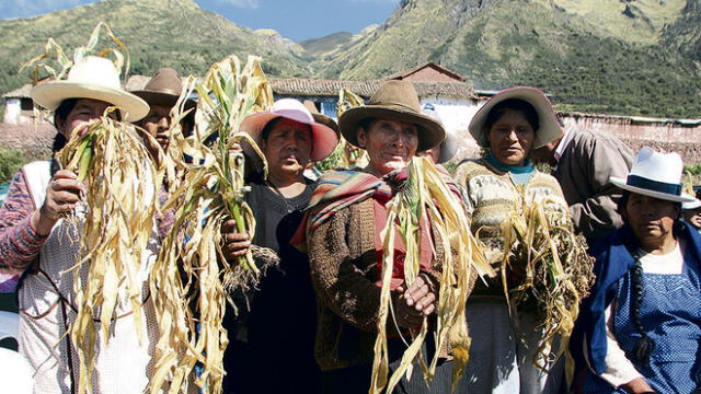 Cusco espera declaratoria de emergencia del agro por heladas y falta de lluvias