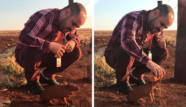 Desliza las imágenes para apreciar el tierno gesto de un hombre al brindar agua a un pequeño armadillo. Foto: Captura de YouTube