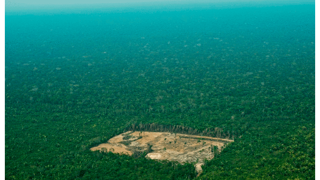 Recomendaciones para cuidar el Amazonas. Foto: AFP