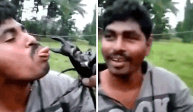 Viral en YouTube: Hombre sufrió la furia de un cangrejo por cumplir un reto [VIDEO] 