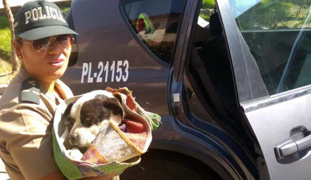 PNP rescata de las calles a pequeño perro que tiene cáncer