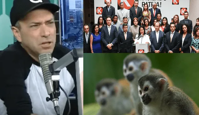 Carlos Galdós tildó a fujimoristas de 'monos tití' por chat 'La Botica' [VIDEO]